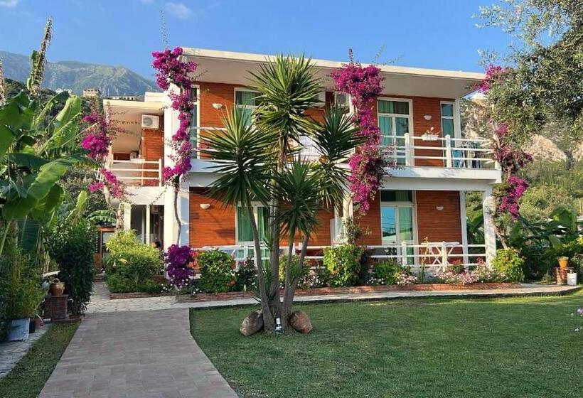 اتاق استاندارد با چشم‌انداز دریا, Jon