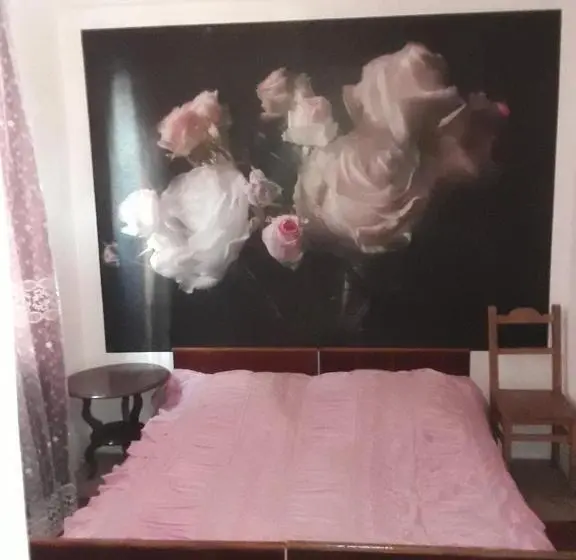 اتاق سوپریور, Guest House Buche On Agmashenebeli 219