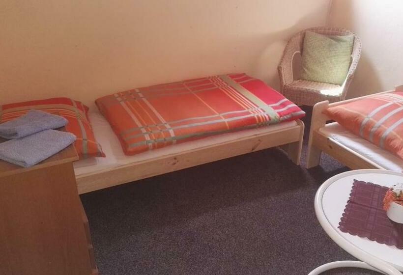 חדר סטנדרט חדר אמבטיה משותף, Pension U Loupežáku