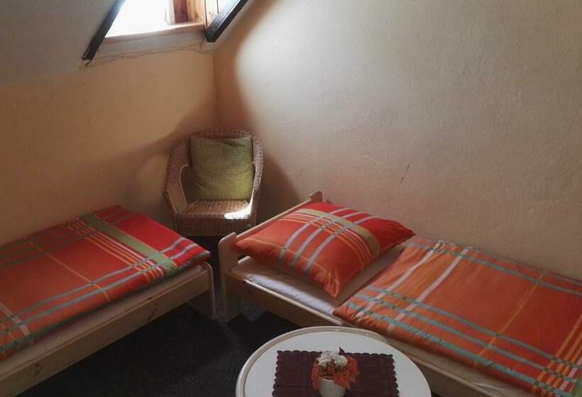 חדר סטנדרט חדר אמבטיה משותף, Pension U Loupežáku