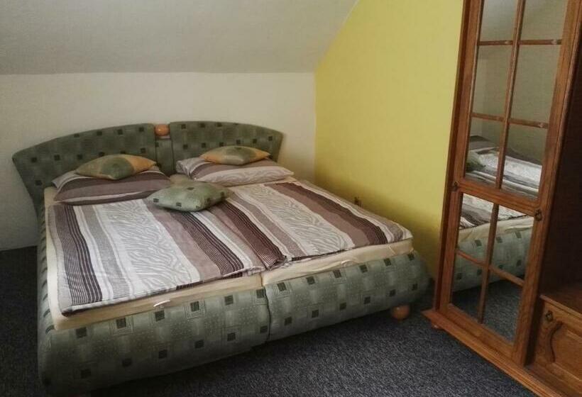 חדר סטנדרט חדר אמבטיה משותף, Pension U Loupežáku