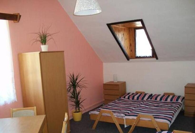 חדר סטנדרטי לארבעה עם חדר אמבטיה משותף, Pension U Loupežáku