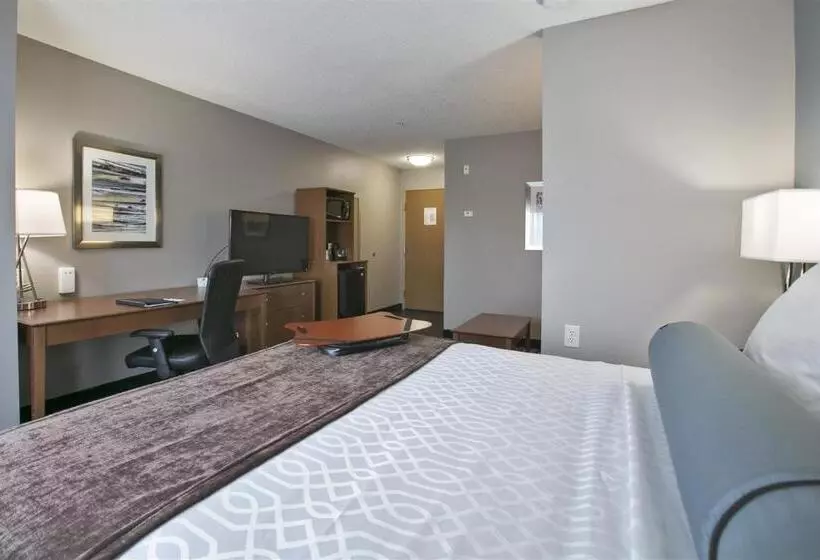 Standard-huone, Best Western Plus Blaine At The National Sports Center