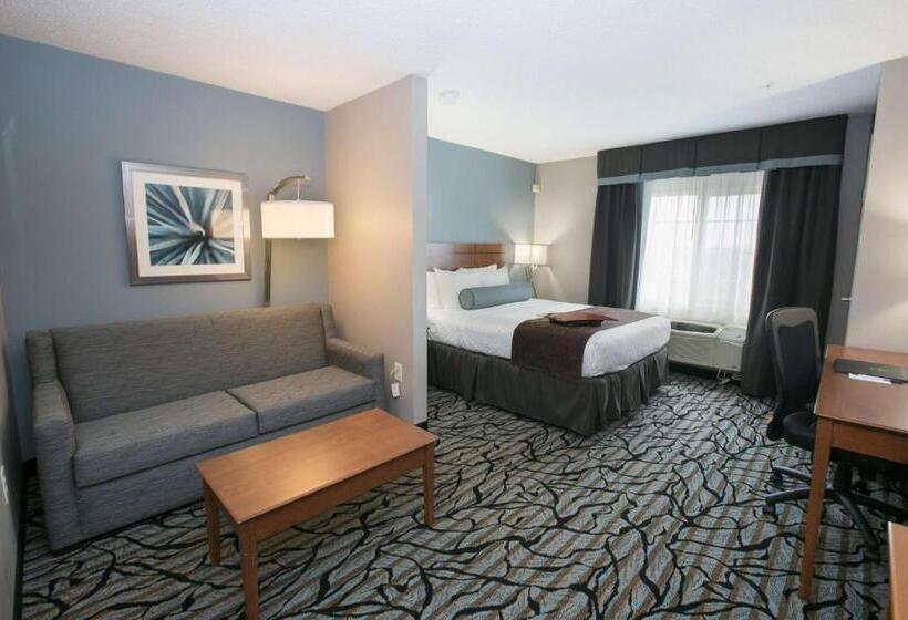 غرفة قياسية, Best Western Plus Blaine At The National Sports Center