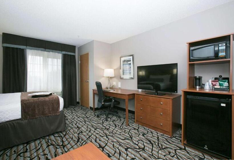 غرفة قياسية, Best Western Plus Blaine At The National Sports Center