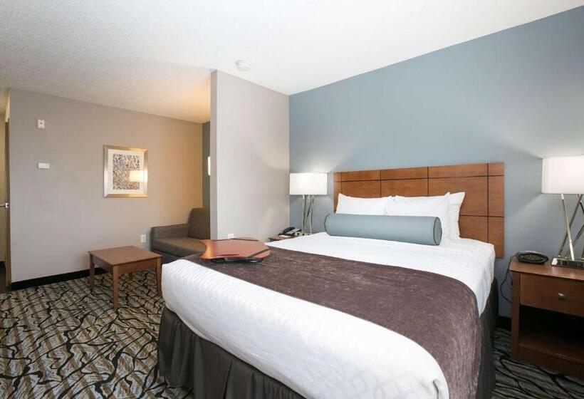 غرفة قياسية, Best Western Plus Blaine At The National Sports Center