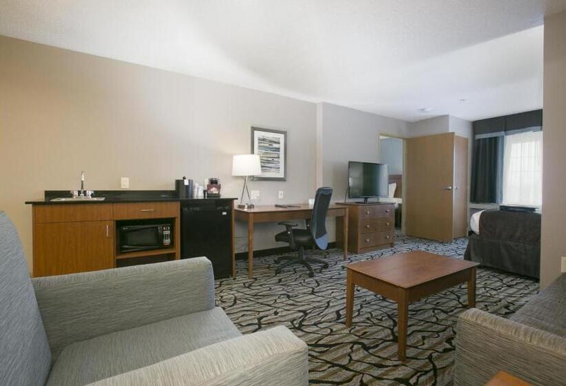 جناح, Best Western Plus Blaine At The National Sports Center