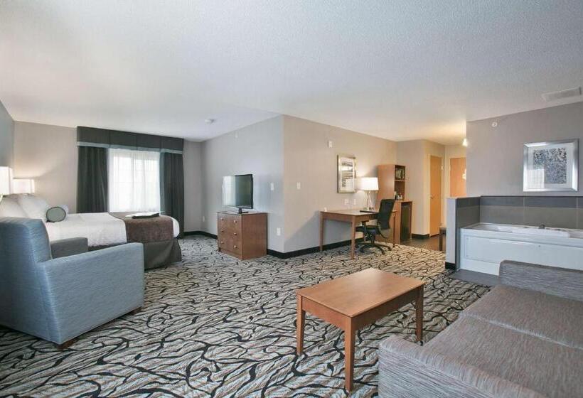 جناح سرير كينج, Best Western Plus Blaine At The National Sports Center