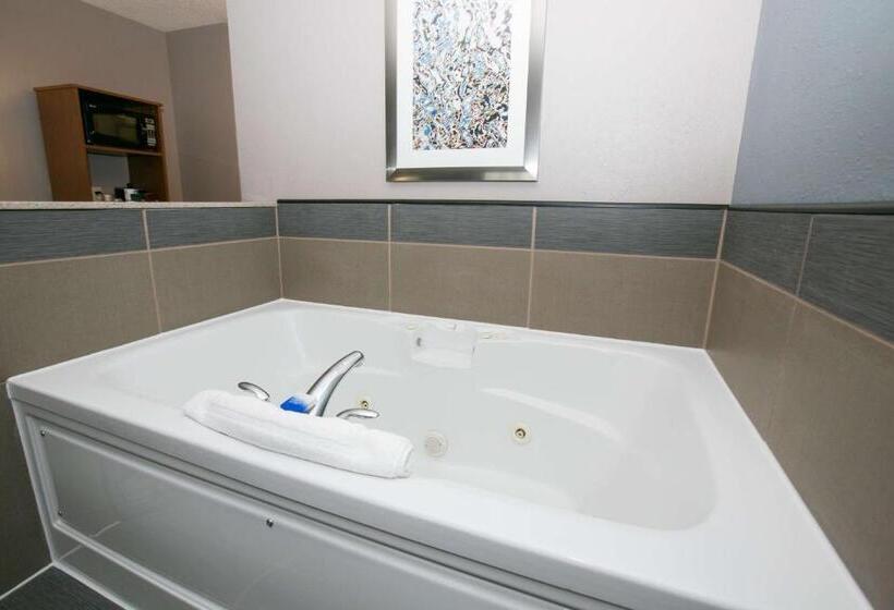 جناح سرير كينج, Best Western Plus Blaine At The National Sports Center