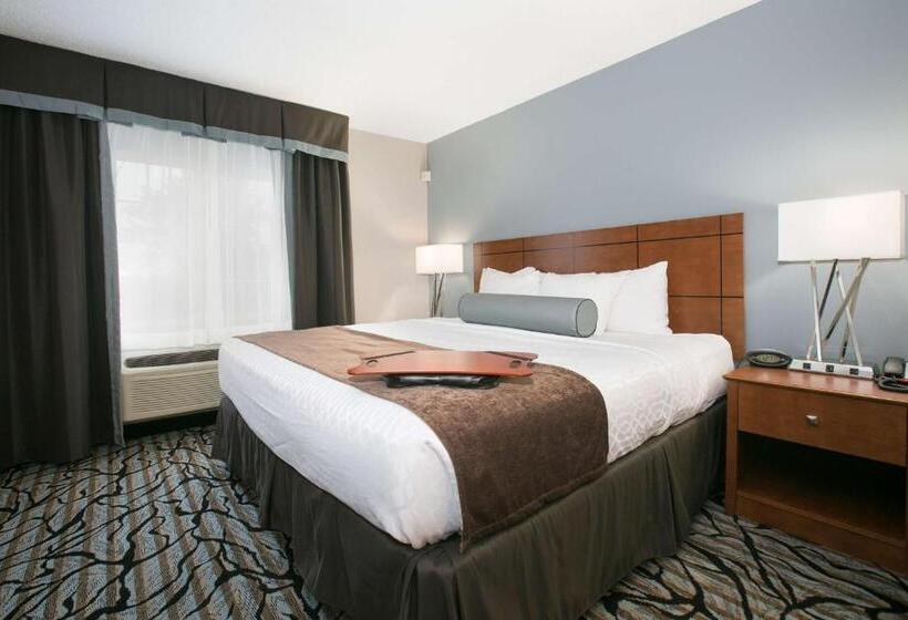 جناح لذوى الاحتياجات الخاصة, Best Western Plus Blaine At The National Sports Center