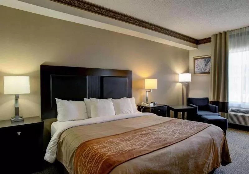 キングサイズベッドのスタンダードルーム, Comfort Inn & Suites