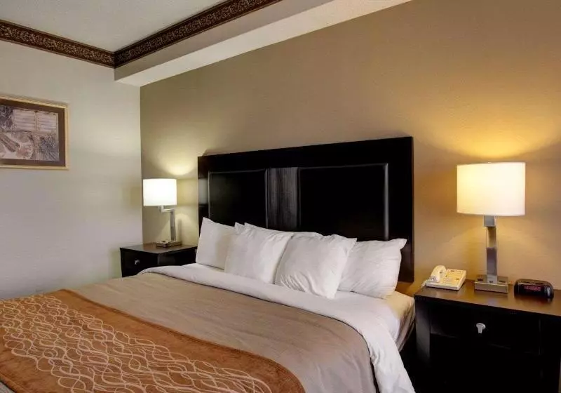 キングサイズベッドのスタンダードルーム, Comfort Inn & Suites