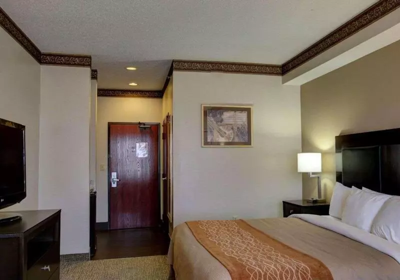 スタンダードルーム, Comfort Inn & Suites