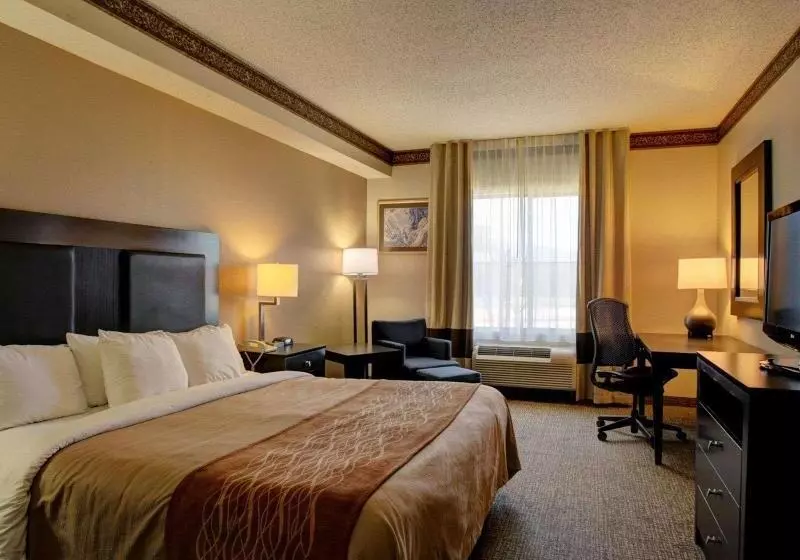 スタンダードルーム, Comfort Inn & Suites