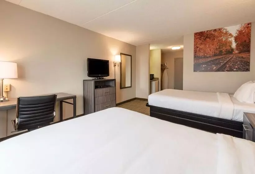 ２ダブルベッドのスタンダードルーム, Surestay Plus Hotel By Best Western Mcguire Afb Jackson