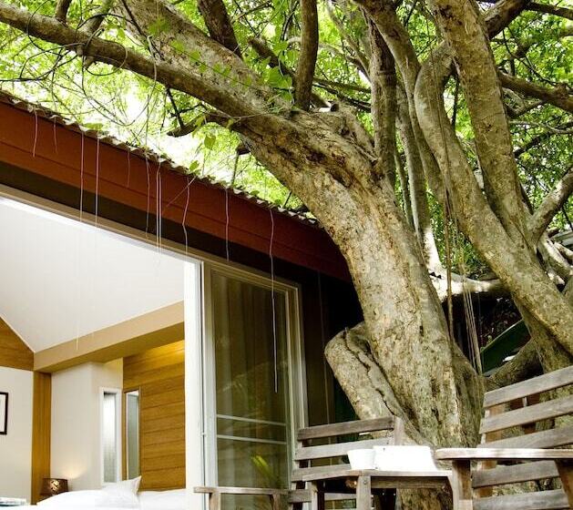 스탠다드 방갈로, Veranda Lodge