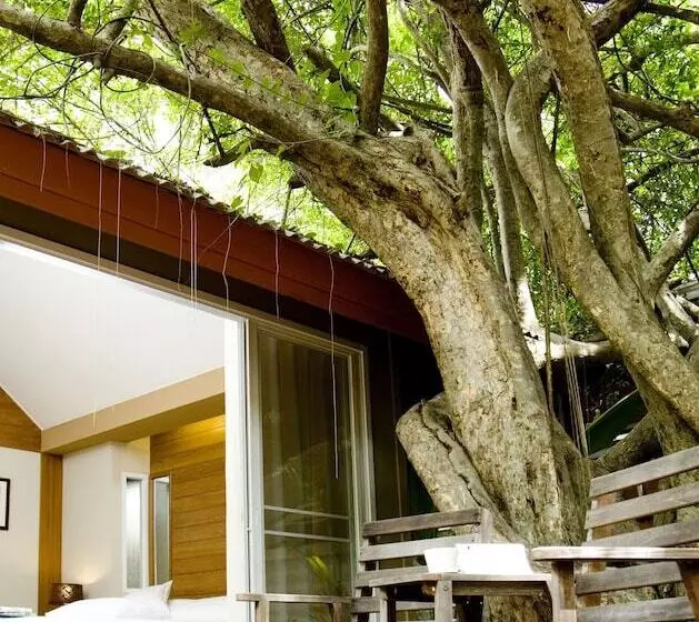بانگلوی استاندارد, Veranda Lodge