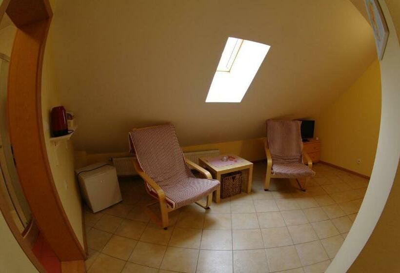 スタンダードルーム, Penzion Hradební