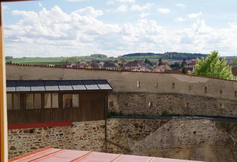 침실 1개 아파트, Penzion Hradební