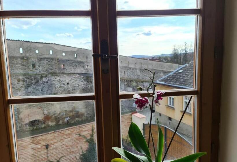 ２ベッドルームアパートメント, Penzion Hradební