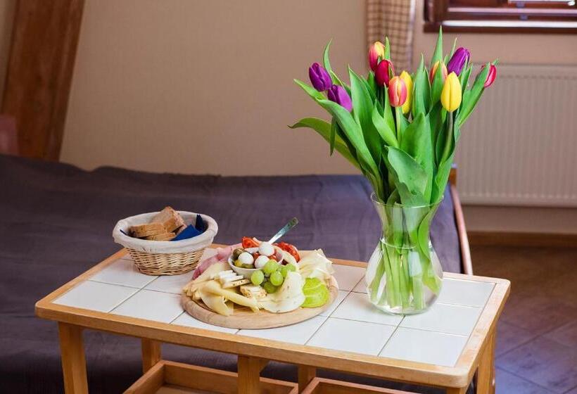 スタンダードルーム, Penzion Hradební