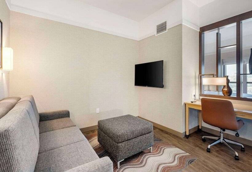 キングサイズベッドのスイートルーム, Cambria Hotel Madison East