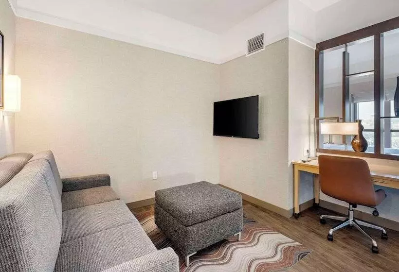 سوئیت با تخت بزرگ, Cambria Hotel Madison East