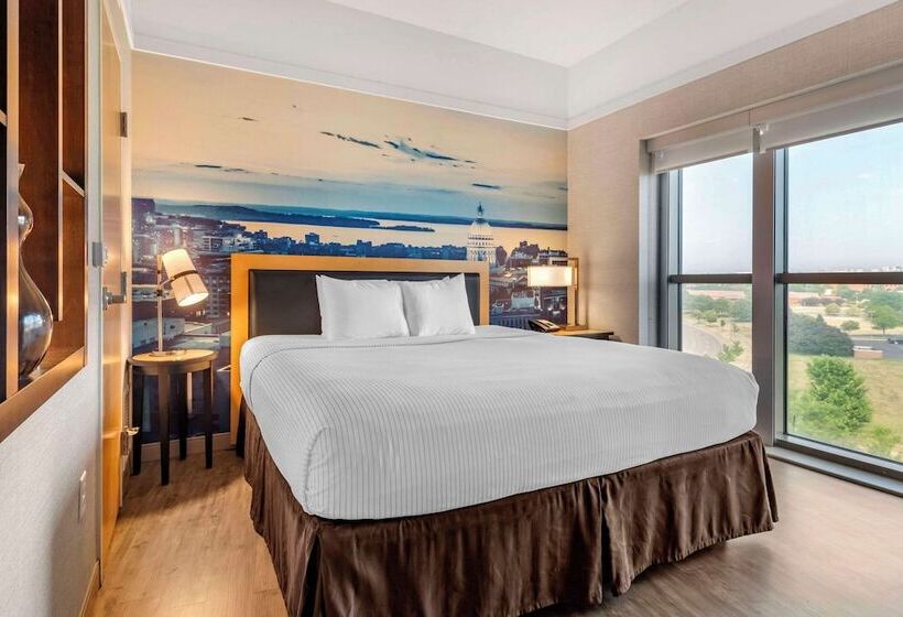 キングサイズベッドのスイートルーム, Cambria Hotel Madison East