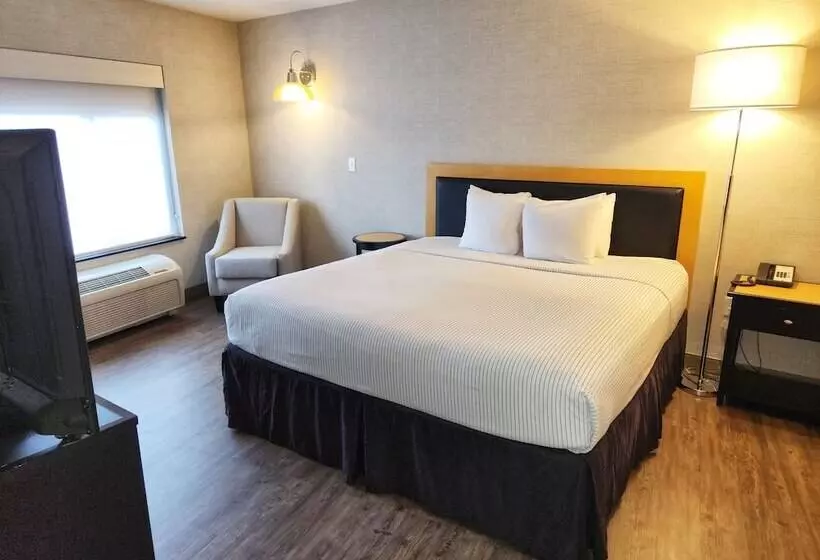 سوئیت با تخت بزرگ, Cambria Hotel Madison East