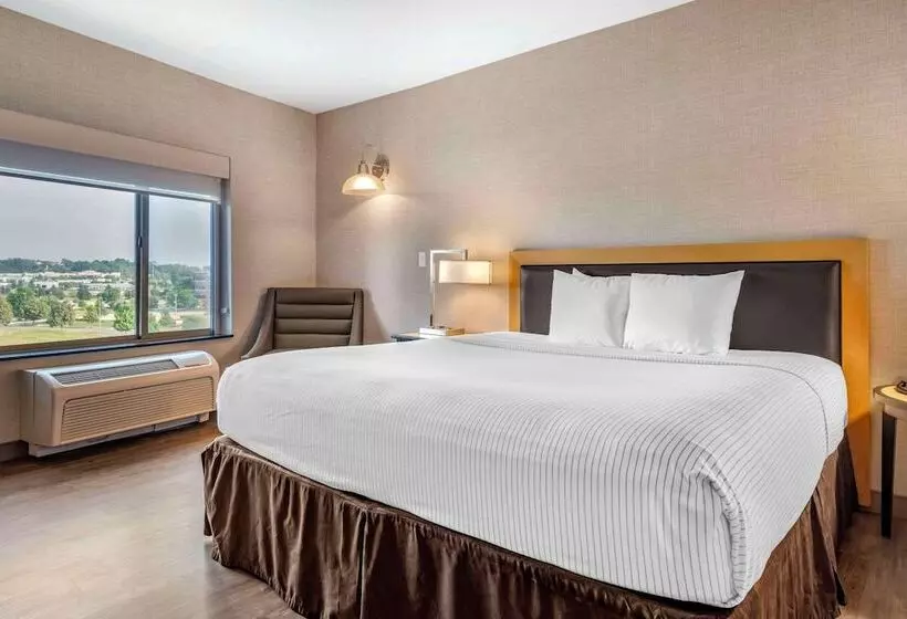 سوئیت با تخت بزرگ, Cambria Hotel Madison East
