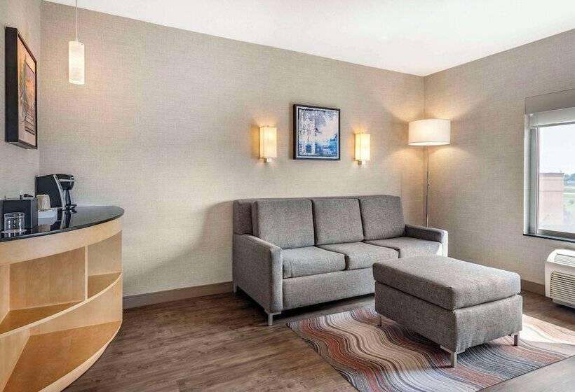 Люкс Адаптированный для Инвалидов, Cambria Hotel Madison East