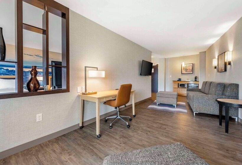 Люкс Адаптированный для Инвалидов, Cambria Hotel Madison East