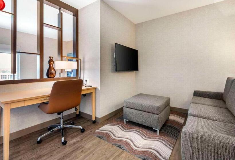 キングサイズベッドのスイートルーム, Cambria Hotel Madison East