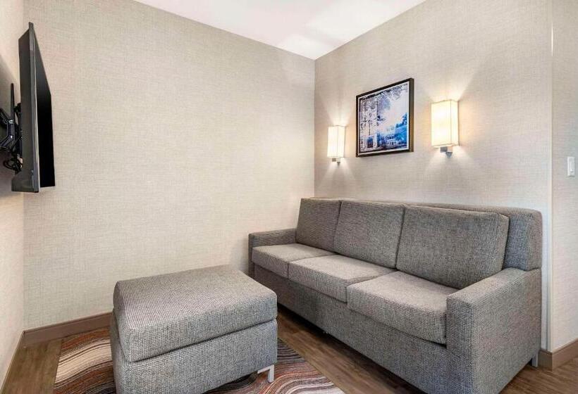 Люкс Кровать Кинг, Cambria Hotel Madison East