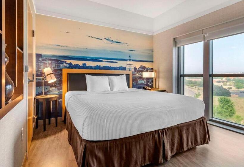 Люкс, Cambria Hotel Madison East