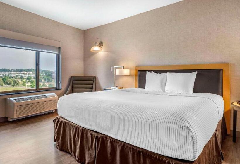 スイート, Cambria Hotel Madison East