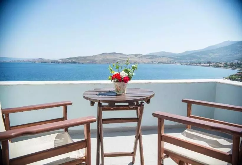 اتاق سوپریور, Clara Resort
