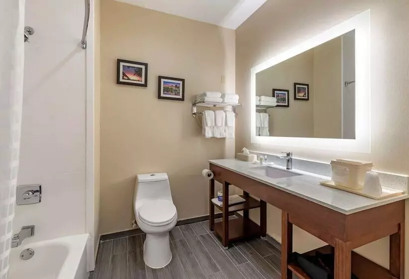スイート, Comfort Suites West Memphis I40 I55