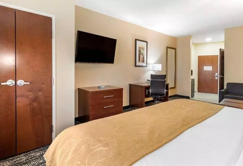 身障者適用スイートルーム, Comfort Suites West Memphis I40 I55