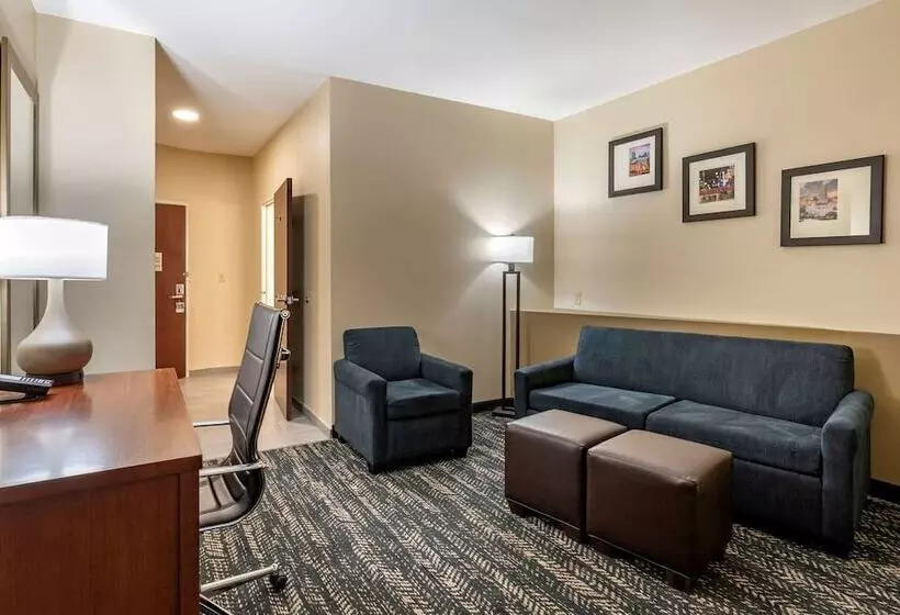 身障者適用スイートルーム, Comfort Suites West Memphis I40 I55