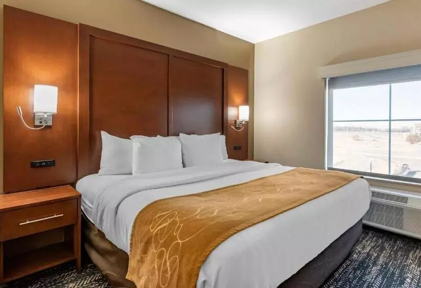 キングサイズベッドのスイートルーム, Comfort Suites West Memphis I40 I55