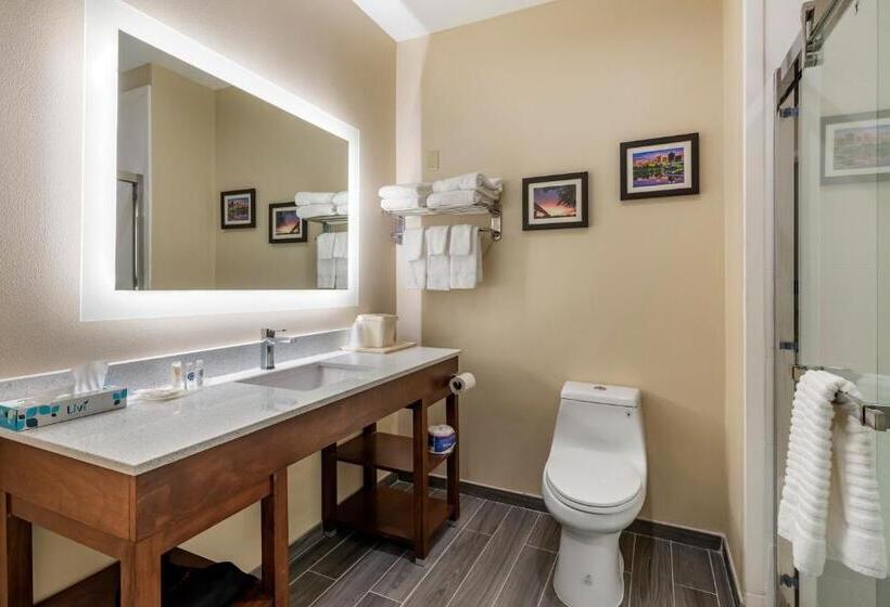 Люкс, Comfort Suites West Memphis I40 I55