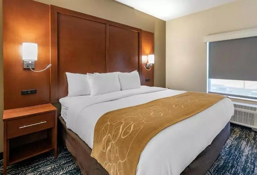 キングサイズベッドのスイートルーム, Comfort Suites West Memphis I40 I55