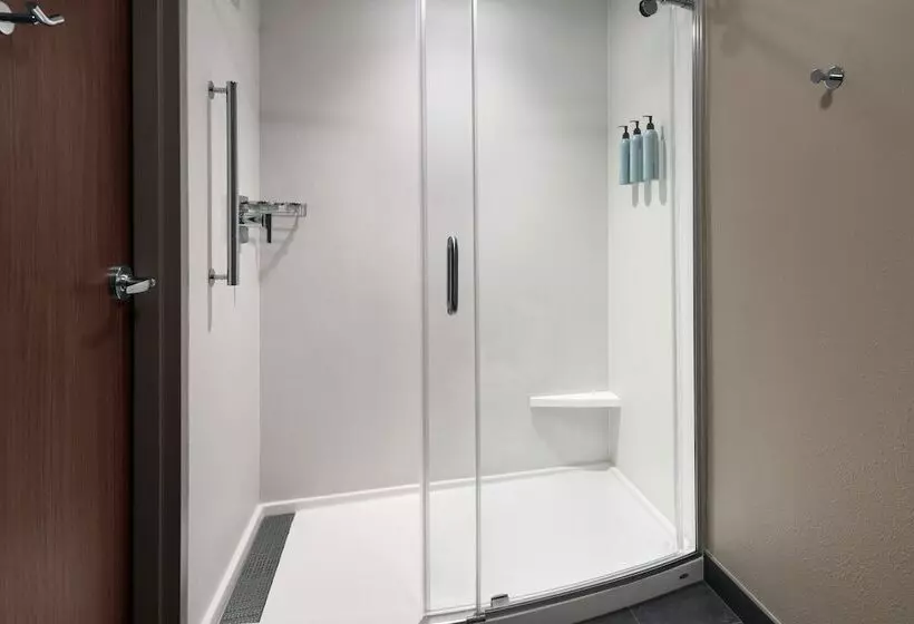 اتاق استاندارد با تخت دوبل, Courtyard By Marriott New Orleans Metairie