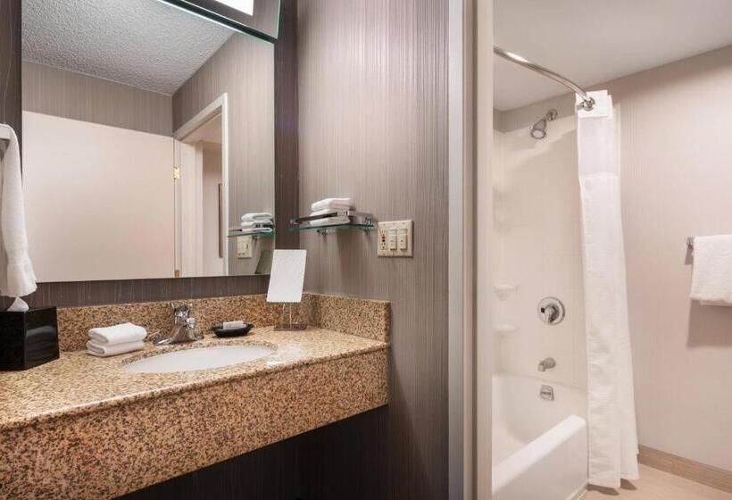 غرفة قياسية سرير كينج لذوى الإحتياجات الخاصة, Courtyard Novato Marin/sonoma