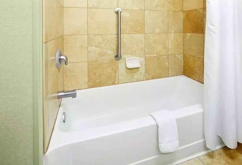 スタンダードルーム, Hampton Inn & Suites Savannah/midtown