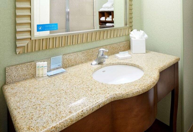 Люкс, Hampton Inn & Suites Savannah/midtown