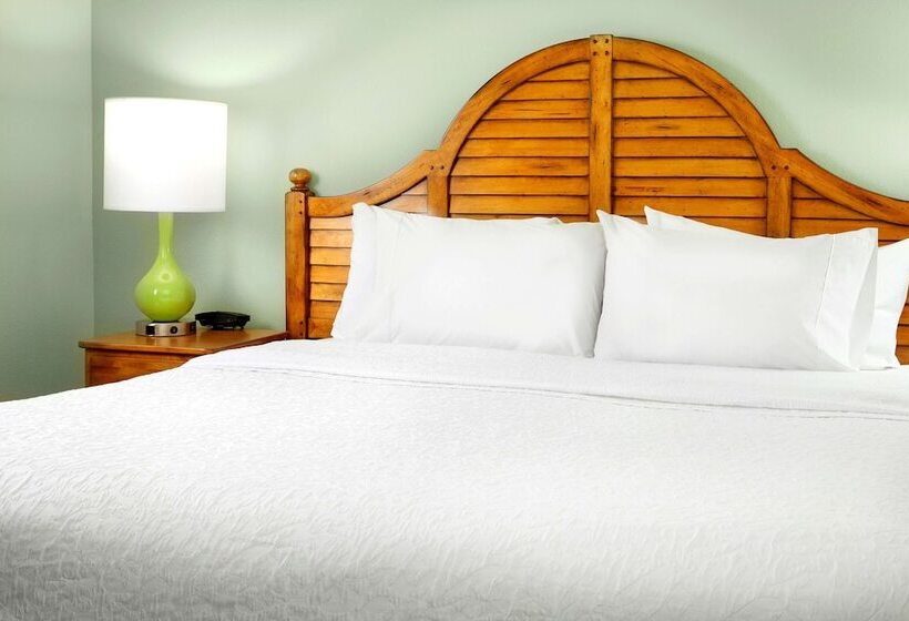 Люкс, Hampton Inn & Suites Savannah/midtown