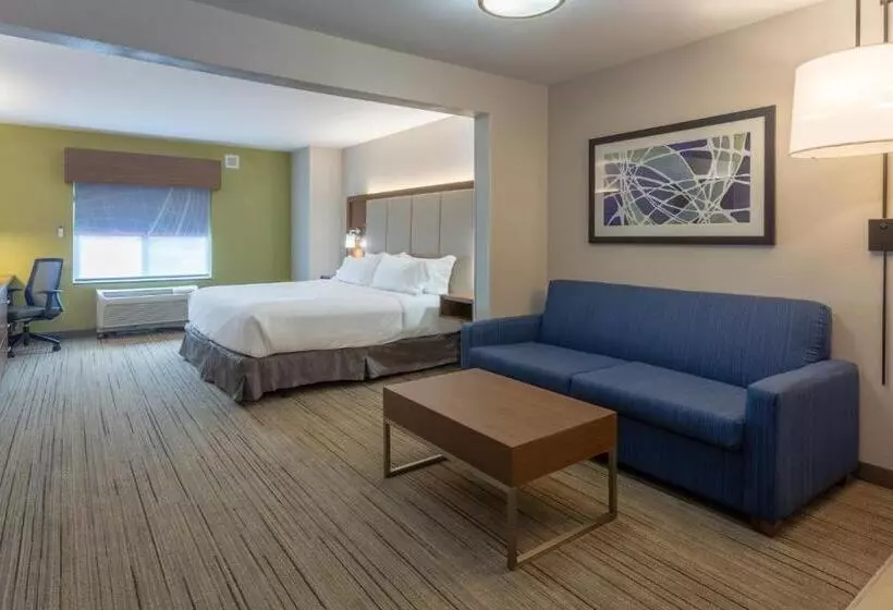 استودیو استاندارد با تخت کینگ, Holiday Inn Express & Suites Milwaukee Nw   Park Place, An Ihg