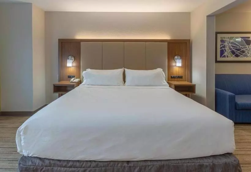 سوئیت با تخت بزرگ, Holiday Inn Express & Suites Milwaukee Nw   Park Place, An Ihg